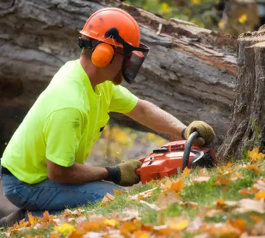 tree services Beacon